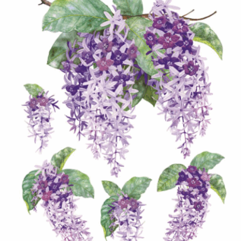 Screenshot 2025-09-03 110608