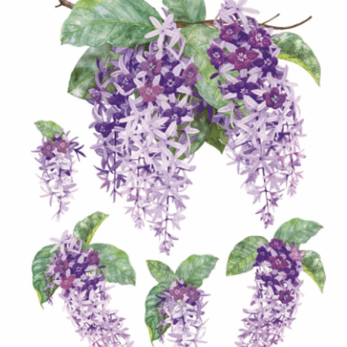 Screenshot 2025-09-03 110608