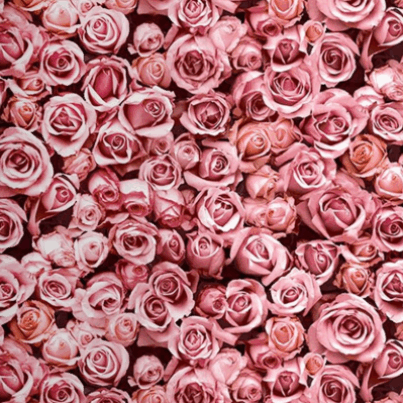 Screenshot 2025-09-03 122610