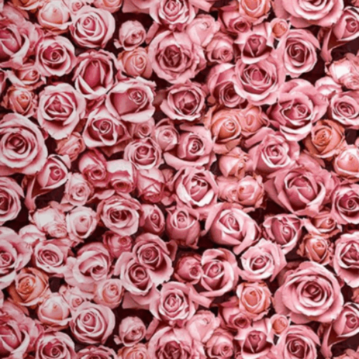 Screenshot 2025-09-03 122610